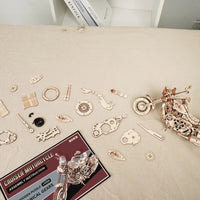 420 Piece Building Block Kit For DIY Wooden Models For Children
