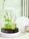 Small Particle Assembly Rose Decoration Toys